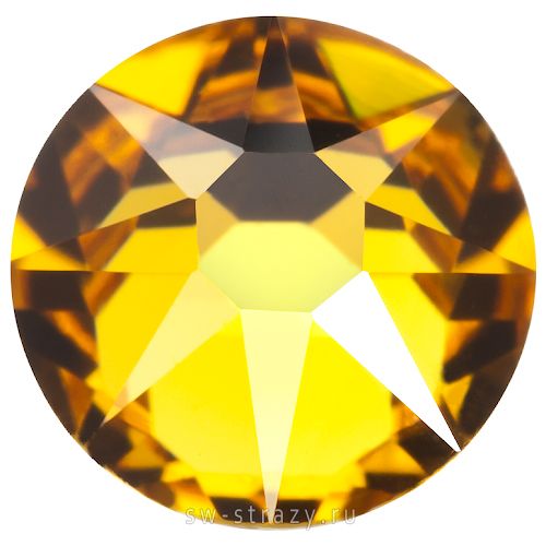 2088 ss 30 Sunflower F